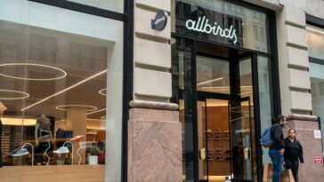 Can Allbirds Survive Its Own Turnaround Plan?