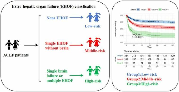 Impact of onset time, number, type, and sequence of extrahepatic organ failure on prognosis ofliver failure