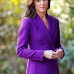 Kate Middleton s Medical Records Part of Security Breach at The London Clinic Report 246