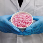 South Korean scientists grow beef cells in rice as protein alternative