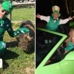 Stars Celebrating St. Patrick's Day Through the Years