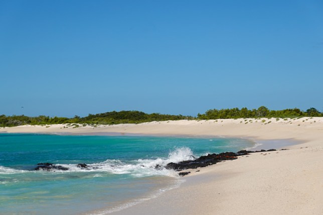 Bachas beach in the Galapagos island, Ecuador