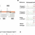 Dubin-Johnson Syndrome in twins linked to novel genetic mutations