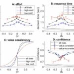 A minimal cognitive architecture reproducing the control of human decision-making processes