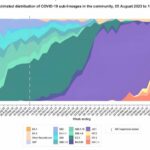 As COVID cases rise again, what do I need to know about the new FLiRT variants?