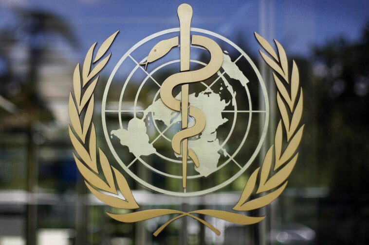 Efforts to draft global pandemic treaty falter as countries disagree on response to next emergency