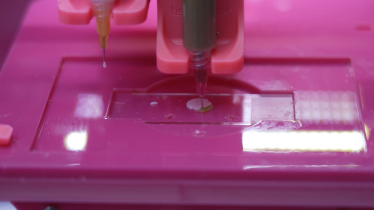 L’Oreal says it's working on a form of bioprinted skin that can actually ‘feel’