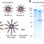 New vaccine could protect against coronaviruses that haven't even emerged yet