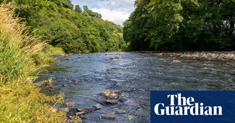 Serious risk a swimmer will die from pollution in English waters, MPs told