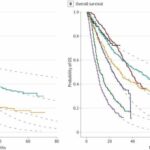 Study: Access to targeted lung cancer drug is cost-prohibitive globally