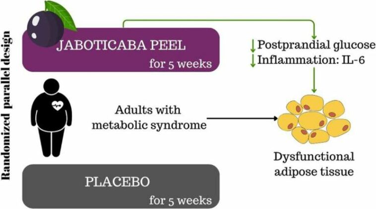 Jaboticaba peel reduces inflammation and controls blood sugar in people with metabolic syndrome