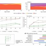 Study suggests two copies of APOE4 gene behind up to 20% of Alzheimer's cases