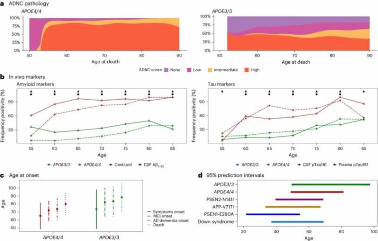 Study suggests two copies of APOE4 gene behind up to 20% of Alzheimer's cases