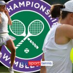 Iga Swiatek: World No 1 is the 'Queen of Clay' but why can't she master Wimbledon?