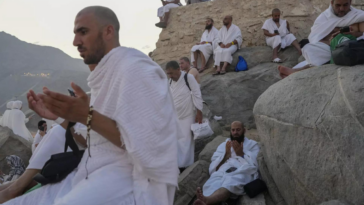 Muslim pilgrims pray on Mount Arafat in hajj climax