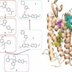 New drug candidates targeting blood clots developed through computer-aided drug design