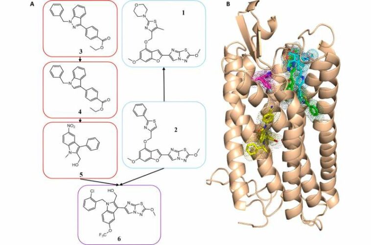 New drug candidates targeting blood clots developed through computer-aided drug design