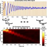 The f-ORG technique will detect the smallest changes in human photoreceptors