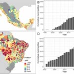 New study predicts worsening dengue spread in Mexico and Brazil