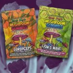 Not quite medicine, not quite food: How a product like mushroom gummies can fall through the regulatory cracks