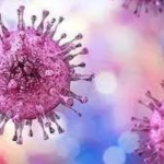 Pakistan: New case of Congo virus reported in Quetta