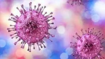 Pakistan: New case of Congo virus reported in Quetta
