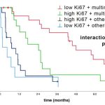 Researchers find biomarker Ki67 useful for personalized treatment of malignant tumors