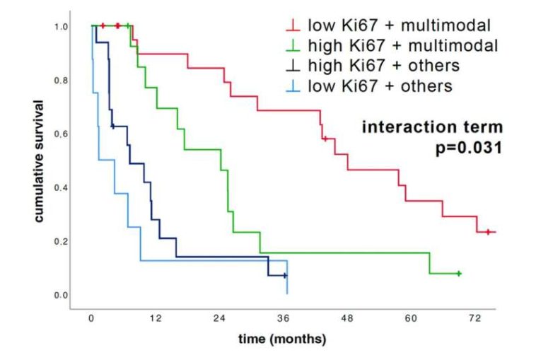 Researchers find biomarker Ki67 useful for personalized treatment of malignant tumors