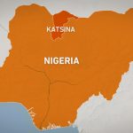 Seven dead, dozens missing after attack in northern Nigeria