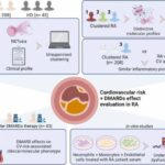 The molecular profile of Rheumatoid Arthritis patients at increased cardiovascular risk is identified