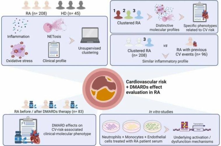 The molecular profile of Rheumatoid Arthritis patients at increased cardiovascular risk is identified