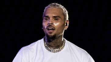 Whew! These Fans Were Tusslin' After Chris Brown Threw His Jacket Into The Crowd During Recent '11:11' Tour Stop (Videos)