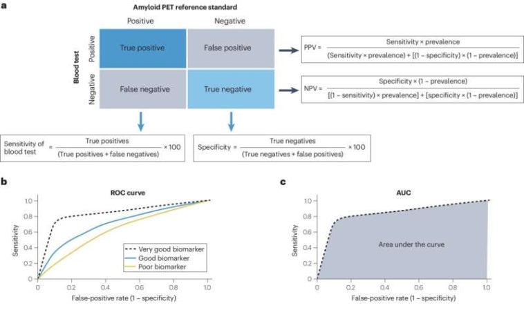 Accuracy of diagnostic blood tests for Alzheimer's disease varies