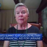 NATO summit is an 'important moment' for Biden: Former NATO deputy general