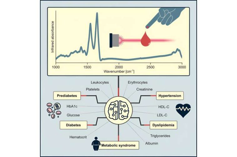 One drop of blood, many diagnoses: Infrared spectroscopy for screening health