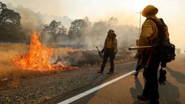 Raging California wildfire swells to over 600 square miles, bigger than city of Los Angeles