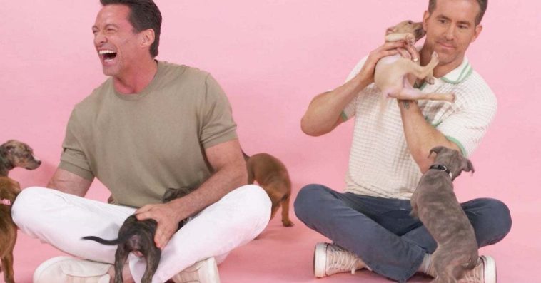 Ryan Reynolds And Hugh Jackman Played With Puppies While Answering Questions