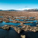 The Flow Country is the only peatland UNESCO World Heritage Site on the planet