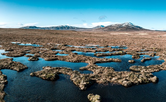 The Flow Country is the only peatland UNESCO World Heritage Site on the planet