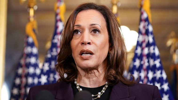 'White Dudes for Harris' raise $3.5 million for Democrat's campaign against Trump