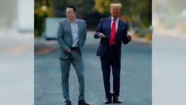 'Haters will say ... ': Elon Musk shares AI video of himself and Trump dancing to 'Staying alive'