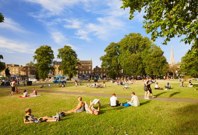 People relaxing in the sun, Clapham Common, Clapham, London.