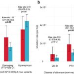 ADHD and DNA: International study sheds light on genetics