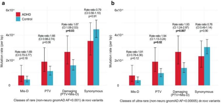 ADHD and DNA: International study sheds light on genetics