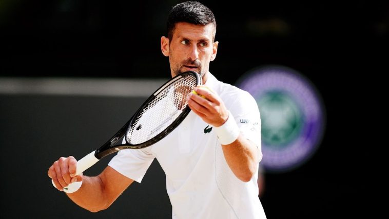 Djokovic urges 'clear protocols' after Sinner ruling