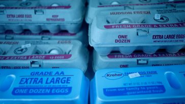 Egg prices are rising once again as bird flu limits supply