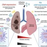 Study reveals oleoyl-ACP-hydrolase underpins lethal respiratory viral disease