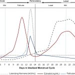 Why are migraines worse during your period? Study points to progesterone, offering a new treatment target