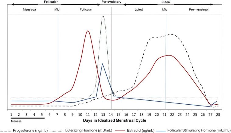 Why are migraines worse during your period? Study points to progesterone, offering a new treatment target