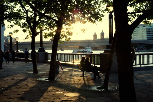 Summer evening on South bank of river Thames London.